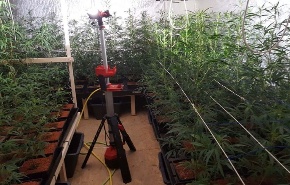 Travu puši 25 miliona ljudi, četiri miliona šmrče koku! Stanje više nego alarmantno!