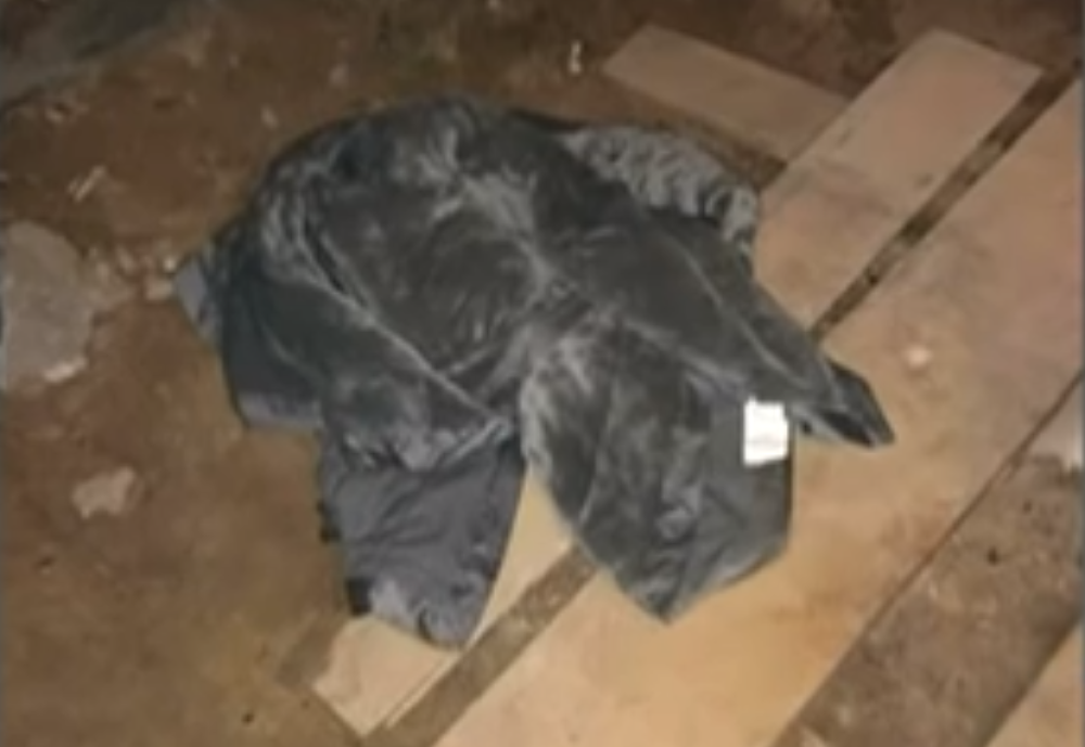 Čula je pomeranje na tavanu, a ono što je tamo zatekla ŠČEPALO JU JE ZA LICE! Odmah je došla policija!