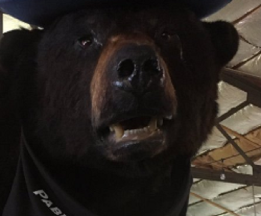 Zvuči smešno, ali posledice su bile KATASTROFALNE