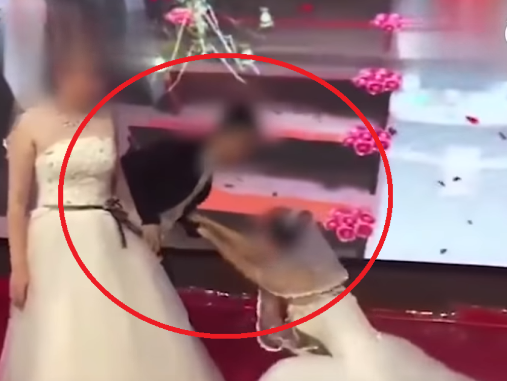 Bivša devojka mladoženje upala na venčanje! Nevesta stoji pored njega - ŠOKIRANA (VIDEO)