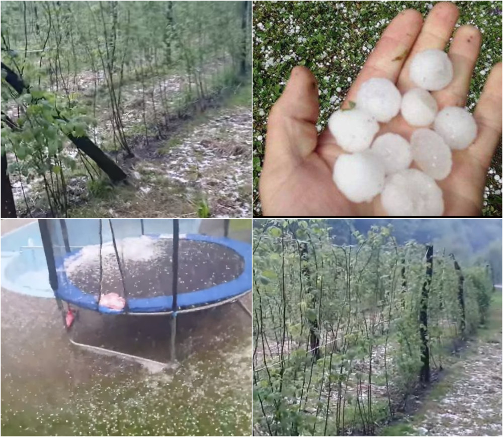 Proglašena vanredna situacija u ovom srpskom gradu! Mraz, sneg i olujni vetar napravili nezapamćenu štetu! Meštani u mukama, ne znaju šta će... (FOTO/VIDEO)