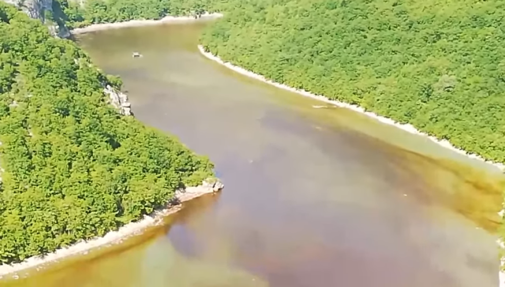 Odvija se ekološka katastrofa, površinom reke pliva divovska MRLJA! Niko ne zna šta je u pitanju!