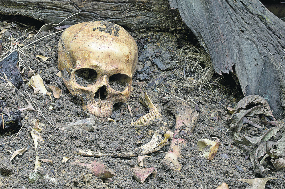 Pas lutalica u zubima među prolaznike doneo ljudsku glavu! Iza toga krije se jeziva priča!