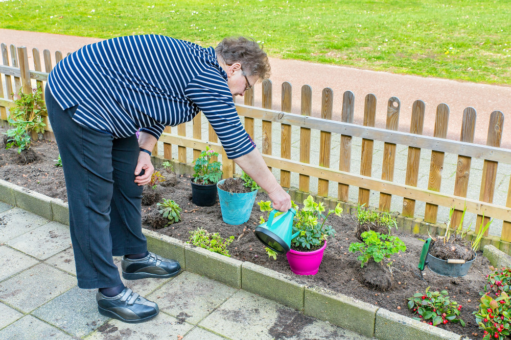 Proizvođači cveća očekuju ogromne gubitke