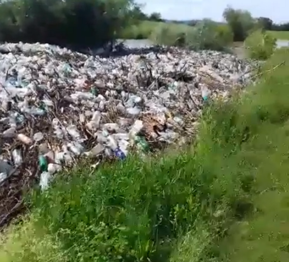Ovo je bukvalno nešto najodvratnije što se sada događa u Srbiji! Zgadiće vam se život! (VIDEO)