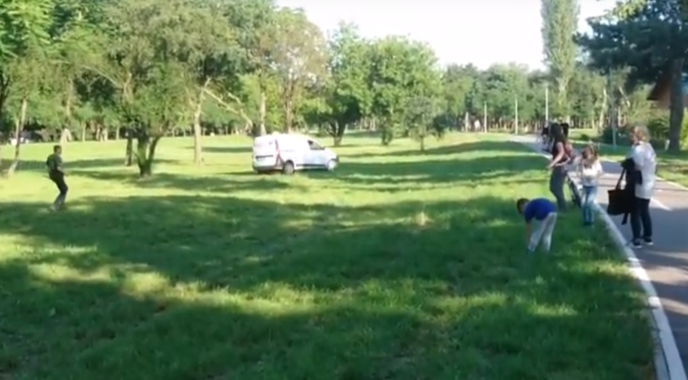 Snimljena urnebesna scena na Ušću! Prase beži, radnici se bacaju za njim, a deca navijaju! (HIT VIDEO)