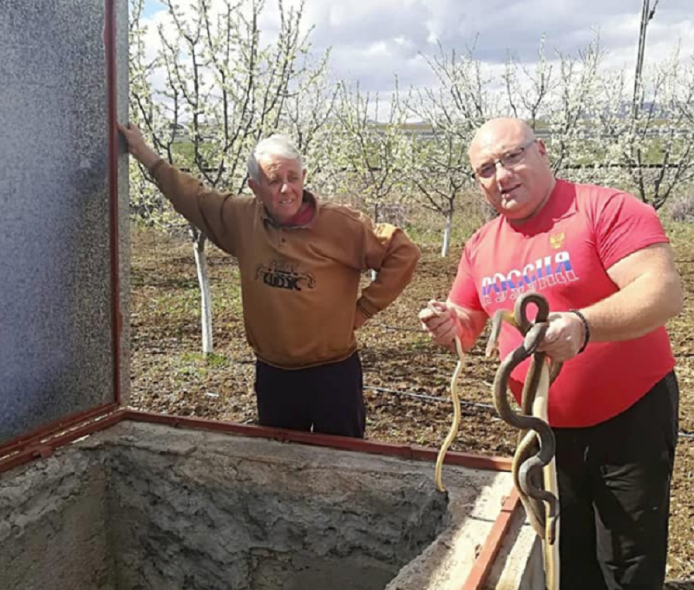 Radetu ušla u automobil, drugom se zavukla u skuter, opasne vrste PREPLAVILE SRBIJU! (FOTO, VIDEO)