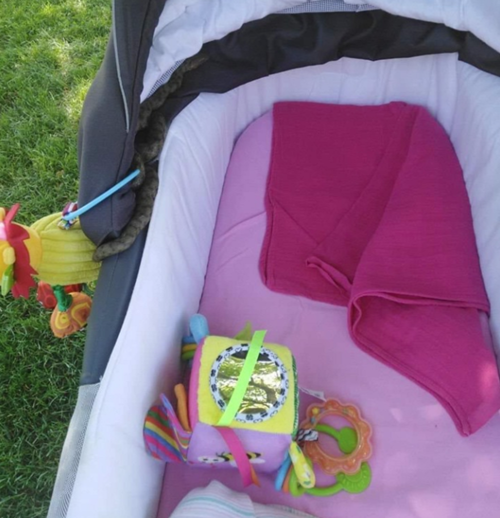 Sledićete se kada vidite šta je ušlo u bebina kolica! Prestravljena majka objavila fotografiju i poslala apel svima! (ŠOK FOTO)