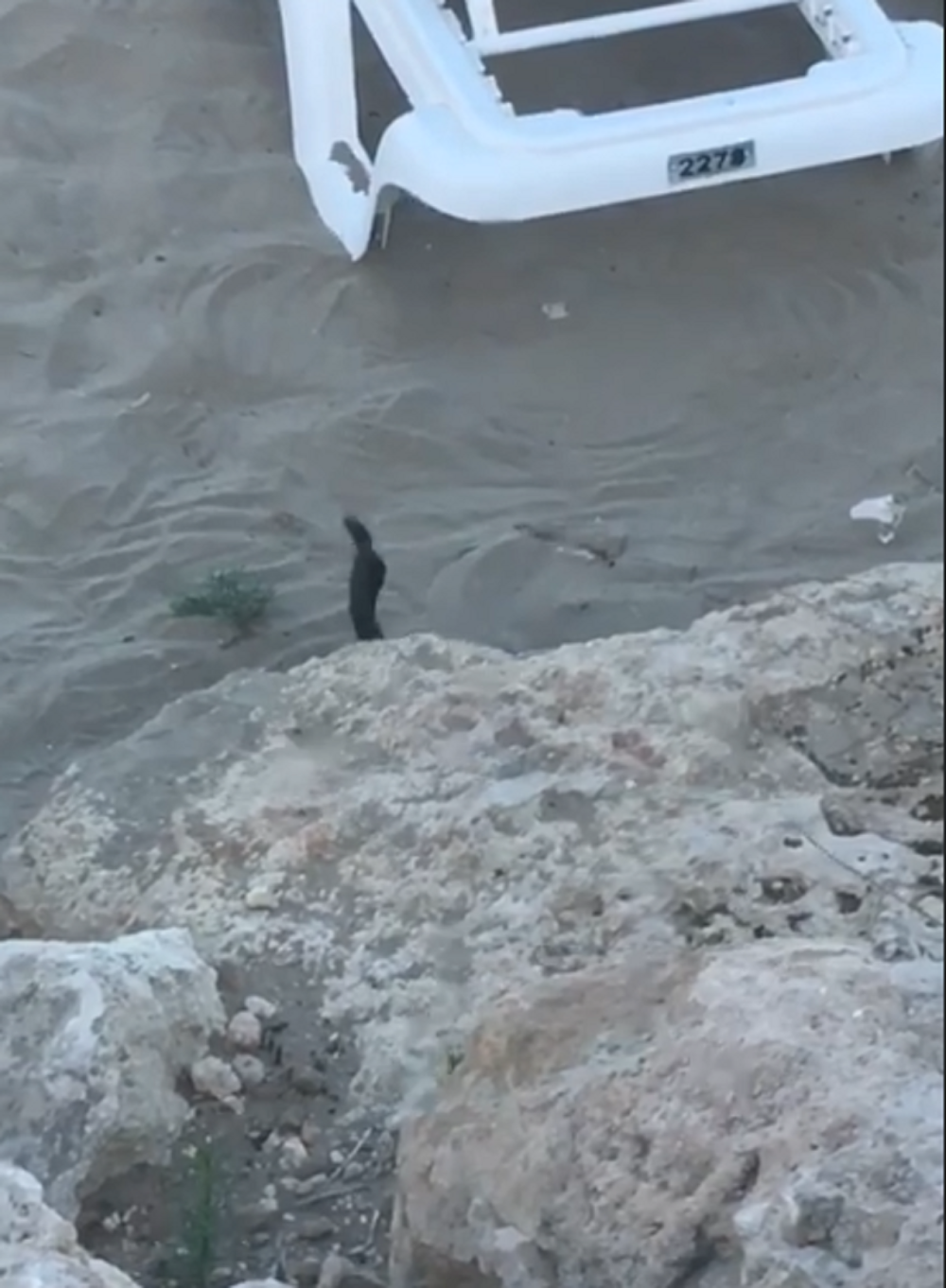 Najnoviji snimak iz Grčke sve zaprepastio! SMRT bukvalno pleše iza ležaljke! (VIDEO)