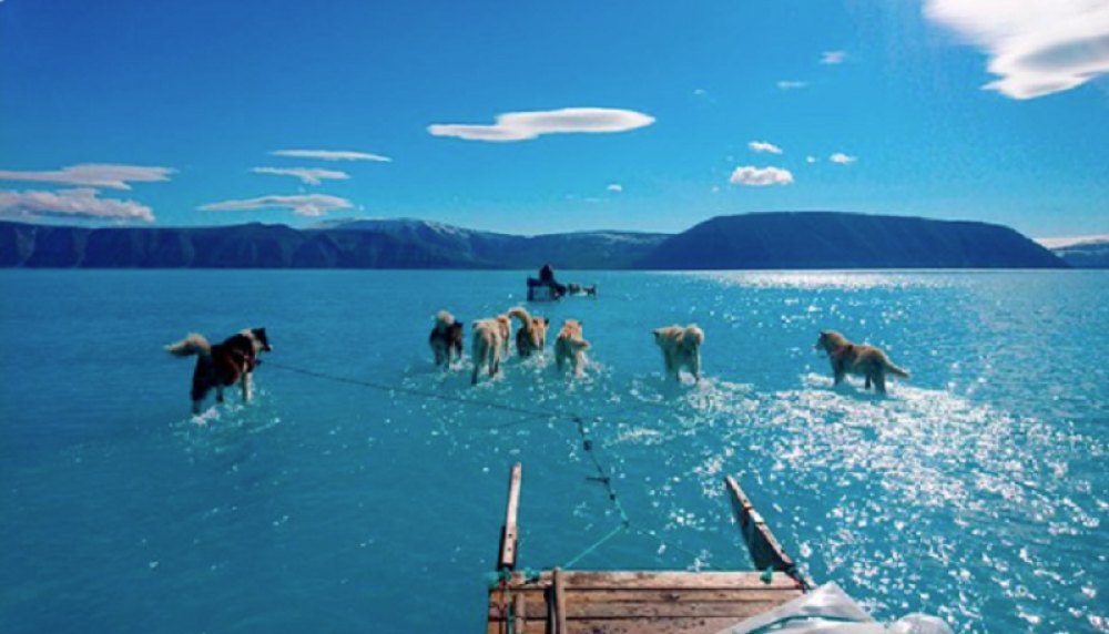 Ova fotografija pokazuje sav užas koji nam se sprema! (FOTO)