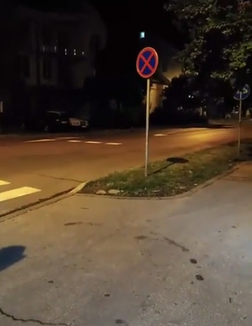 Nećete verovati šta se prošetalo po samom centru grada! Građani u neverici snimili ovaj nesvakidašnji prizor! (VIDEO)