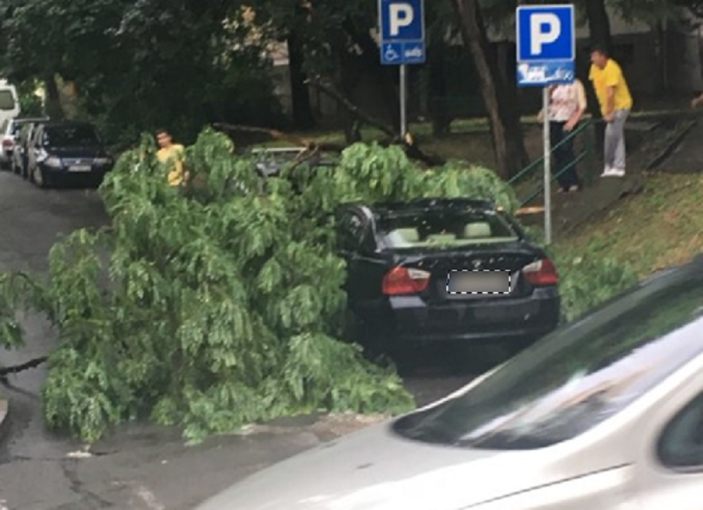 Hrvati smislili OPASAN način da zaštite kola od grada, stručnjaci pobesneli: Ovo mora da se prekine!