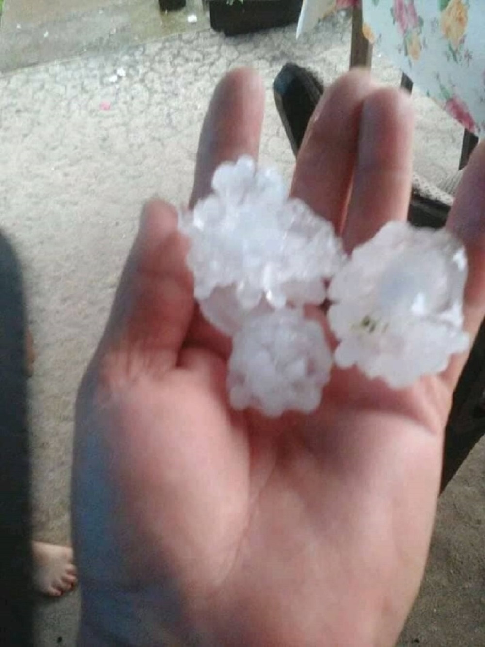 Nakon rekordne vreline, nevreme pogodilo Crnu Goru! Led veličine lešnika obarao drveće (VIDEO)