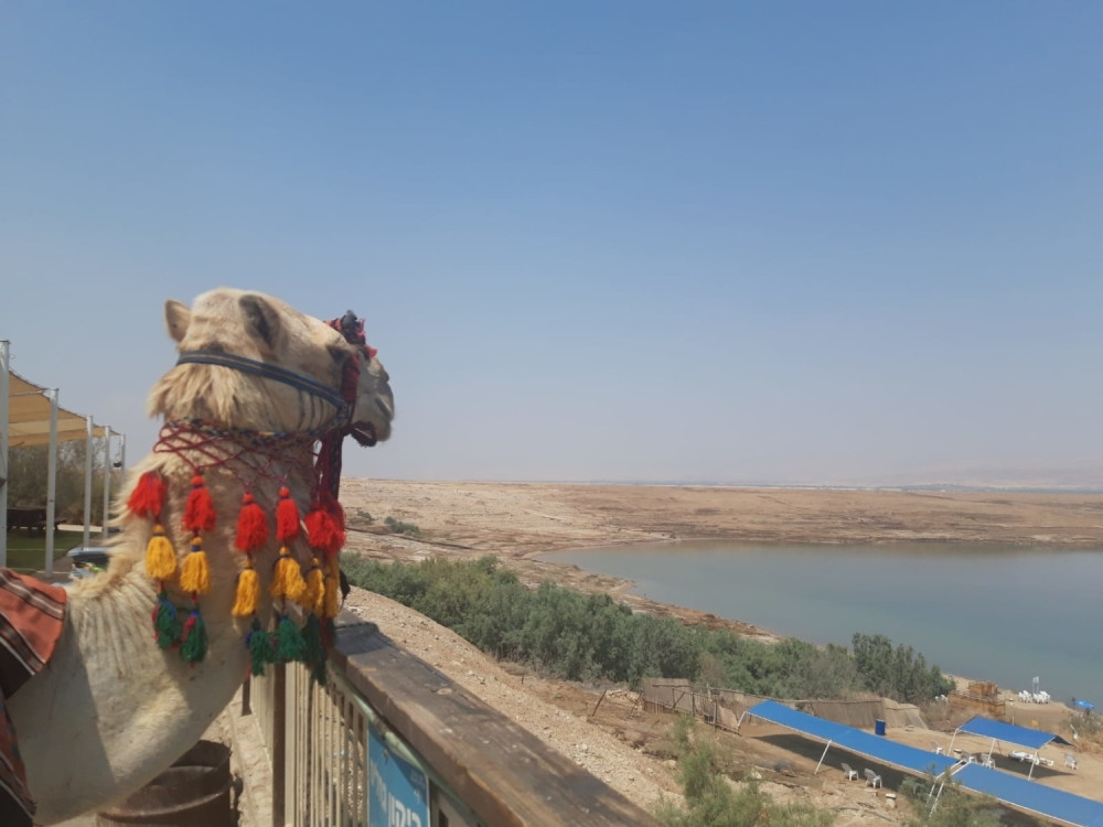 Srpski putnici čekali tri sata na granici! Iživljavanje i maltretiranje SRBA