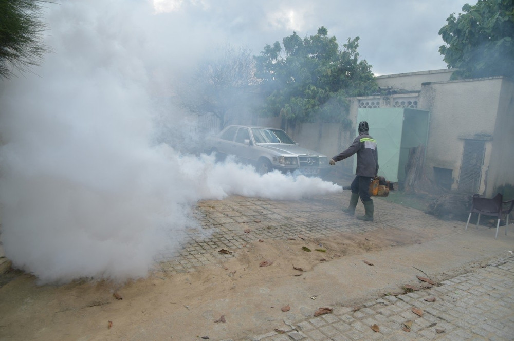 Virus Zapadnog Nila registrovan kod komaraca u Srbiji