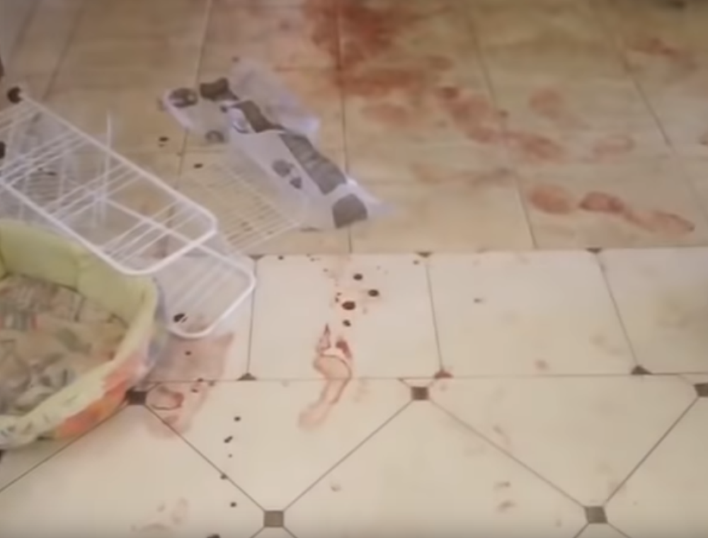 Maloletni sin ruskog šampiona ZAKLAO MAJKU, istrčao iz kuće i optužio brata (VIDEO)