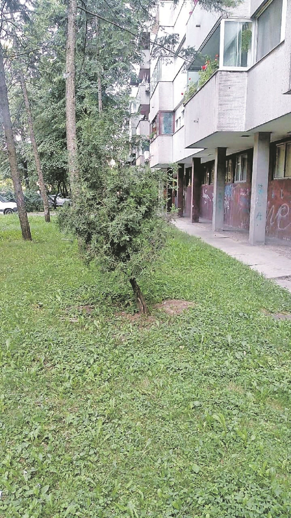 Janko (16) mesečario i pao sa TREĆEG SPRATA!