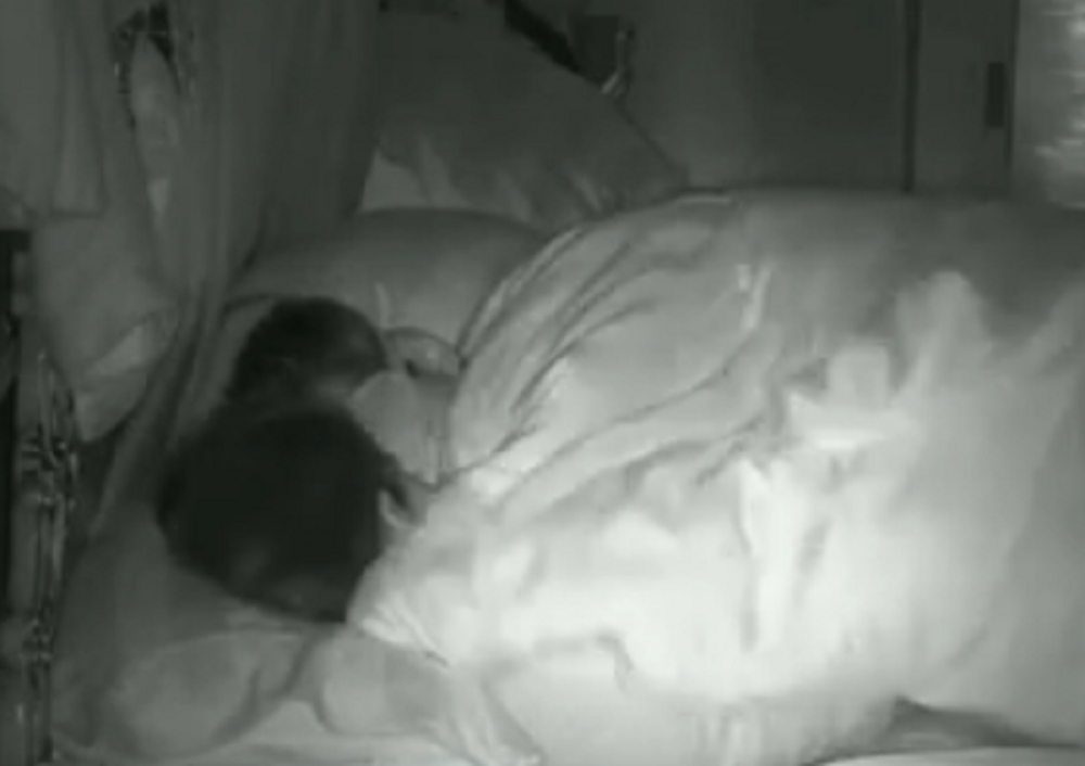 Isplivao PRVI SNIMAK vrelog se*sa Požgaja i Ivanije! Sve pucalo od strasti! (VIDEO)