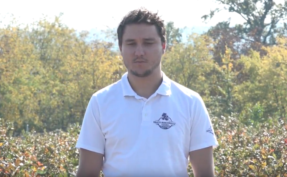 Blizanci rođeni u Americi došli u Srbiju! U selu kraj Topole napravili BIZNIS milenijuma! Postigli neverovatan uspeh uzgajajući OVU VOĆKU! (FOTO/VIDEO)