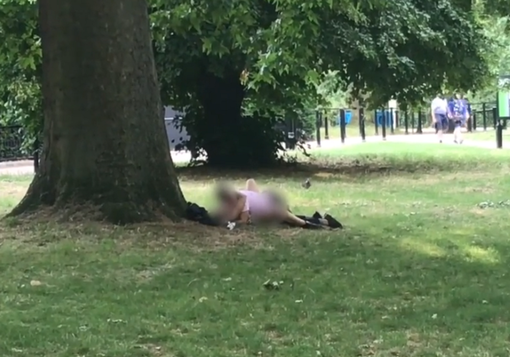 Žestoka akcija ispod drveta, kamera sve snimila! Prolaznici se prenerazili! (EKSPLICITAN SADRŽAJ)