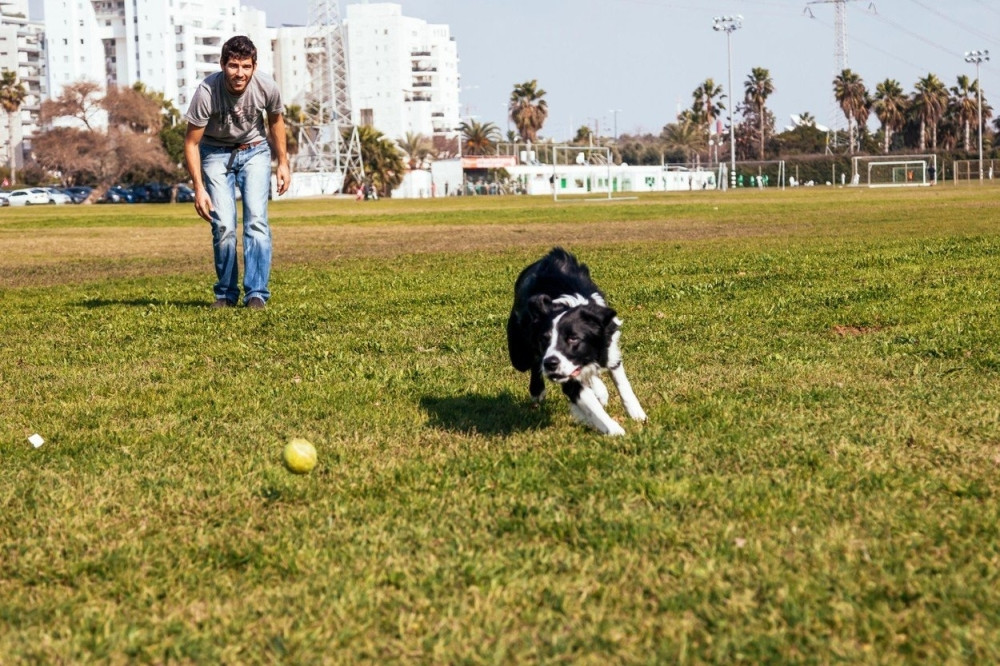 Pas je trčao ka njemu, u ustima nije nosio štap već veliki otkinuti PE*IS!