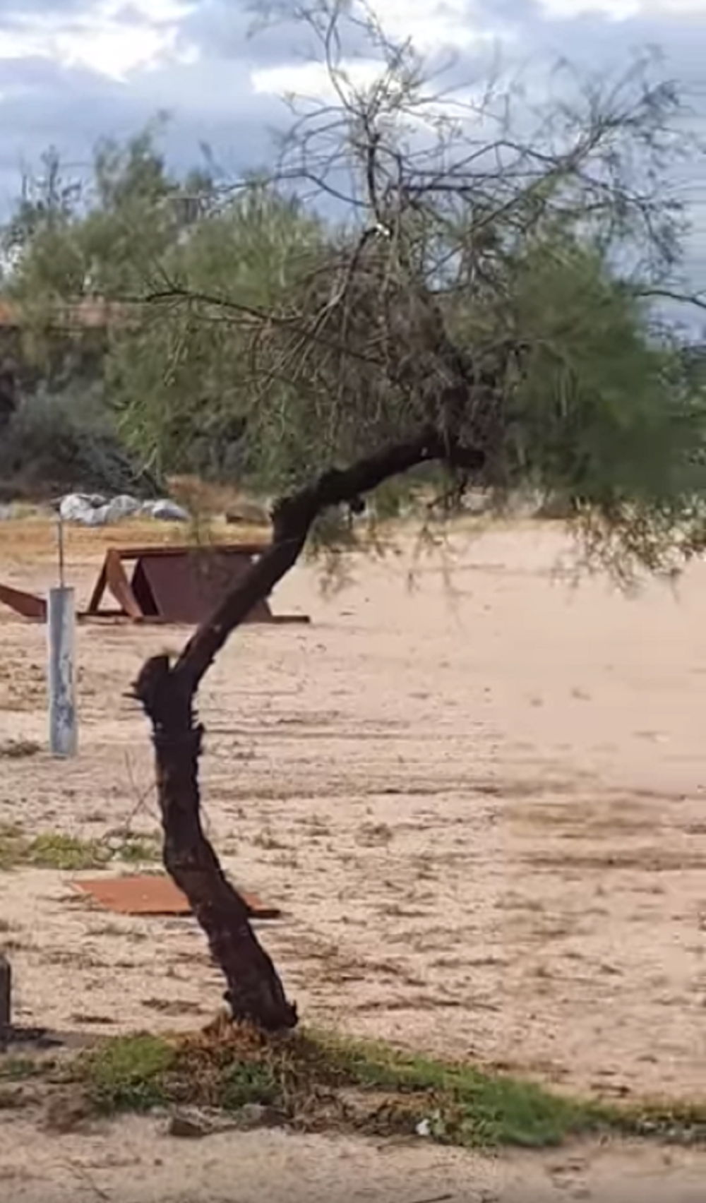 Ljudi zarobljeni, kuće poplavljene, sve je blokirano! Zlo se sprema i Srbiji, samo malo drugačije! (VIDEO)