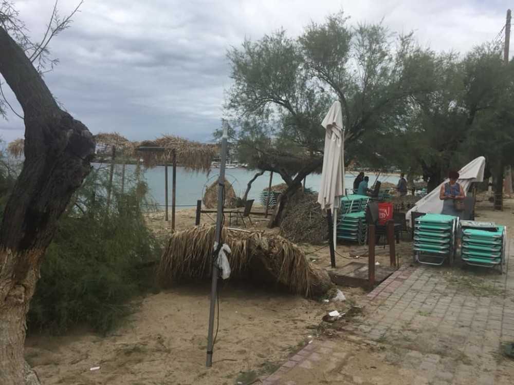 Stablo se obrušilo na njih, a onda je jedan čovek zaplakao i viknuo OVDE SU!