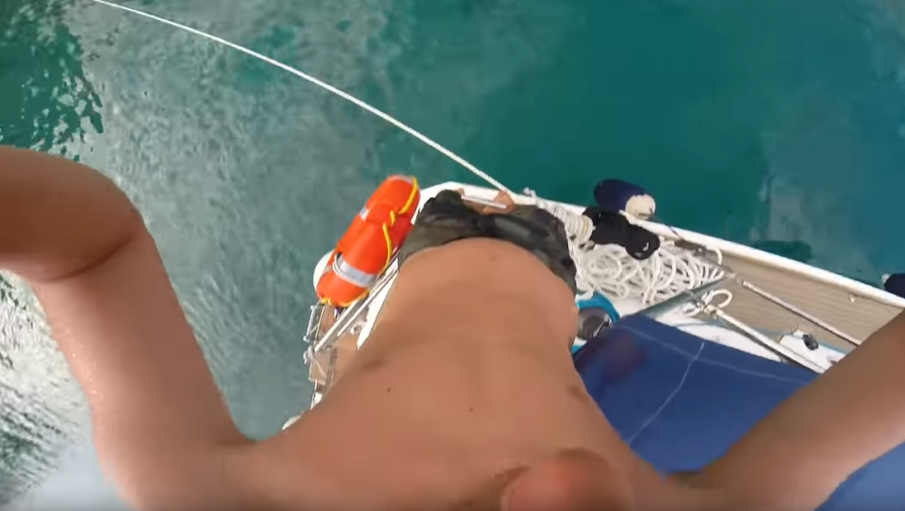 U toku je najezda lavovskih griva, ubijaju na licu mesta! (FOTO/VIDEO)