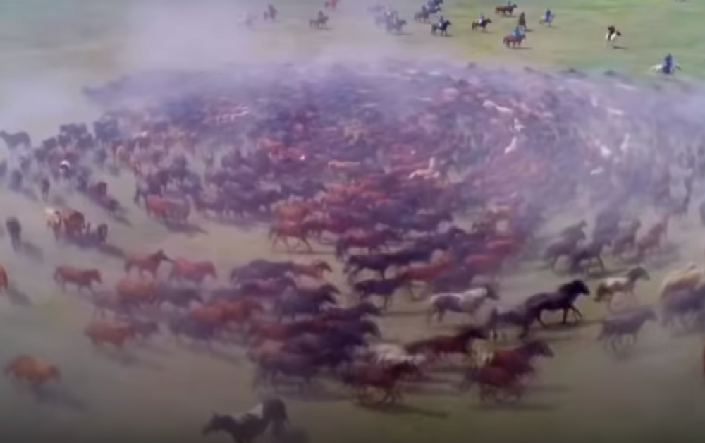 Zabeležen NAJREĐI prirodni fenomen, horda konja tračala u krug, pa napravili DŽINOVSKI TORNADO! (VIDEO)