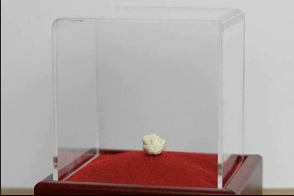 Ova žvaka je prodata za 450.000 evra!!! Ima veze sa legendom svetskog fudbala, a evo kako je dostigla SUMANUTU SUMU! (FOTO)