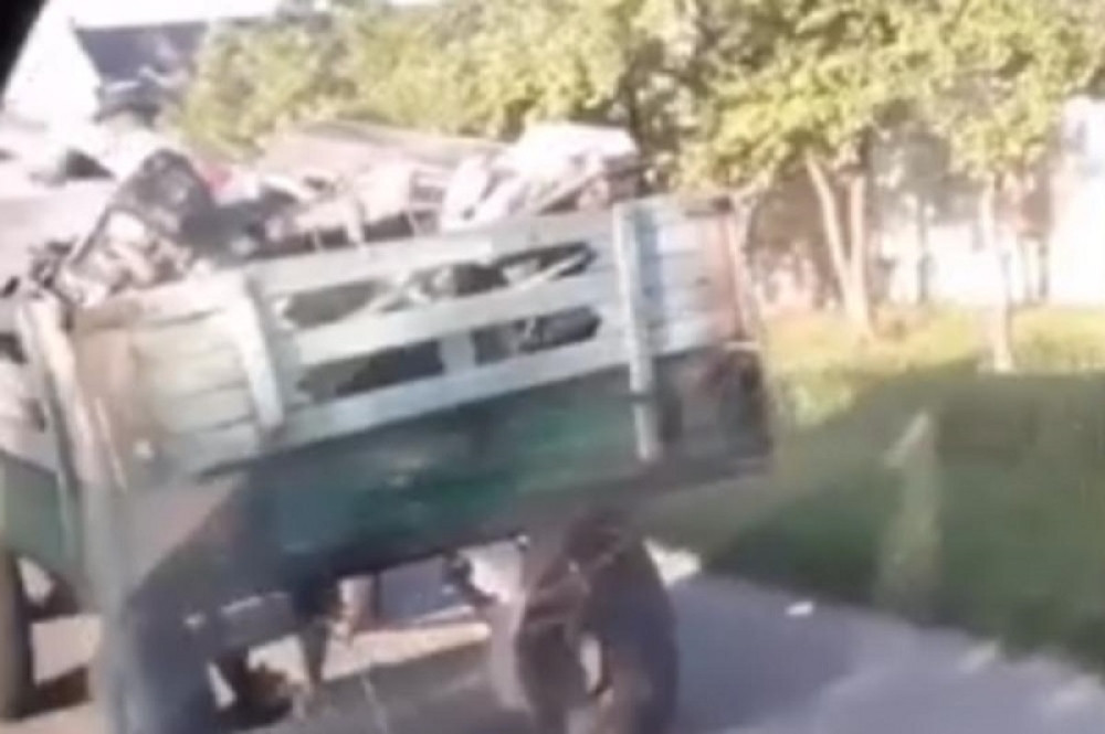 Jadnu životinju obesio o PRIKOLICU i vozio po selu, pa se HVALIO svima svojim svirepim ZLOČINOM!