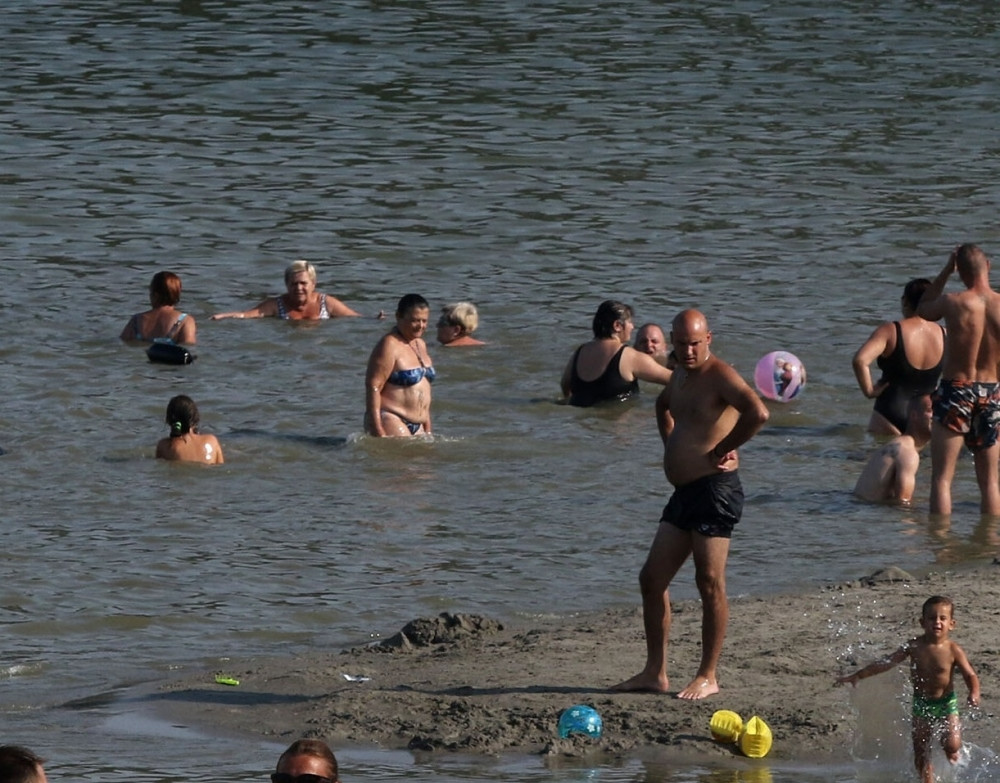 Na novosadskom kupalištu iz vode izronio NEOBIČAN GOST! Stoji u plićaku, ljudi preplašeni! (FOTO)