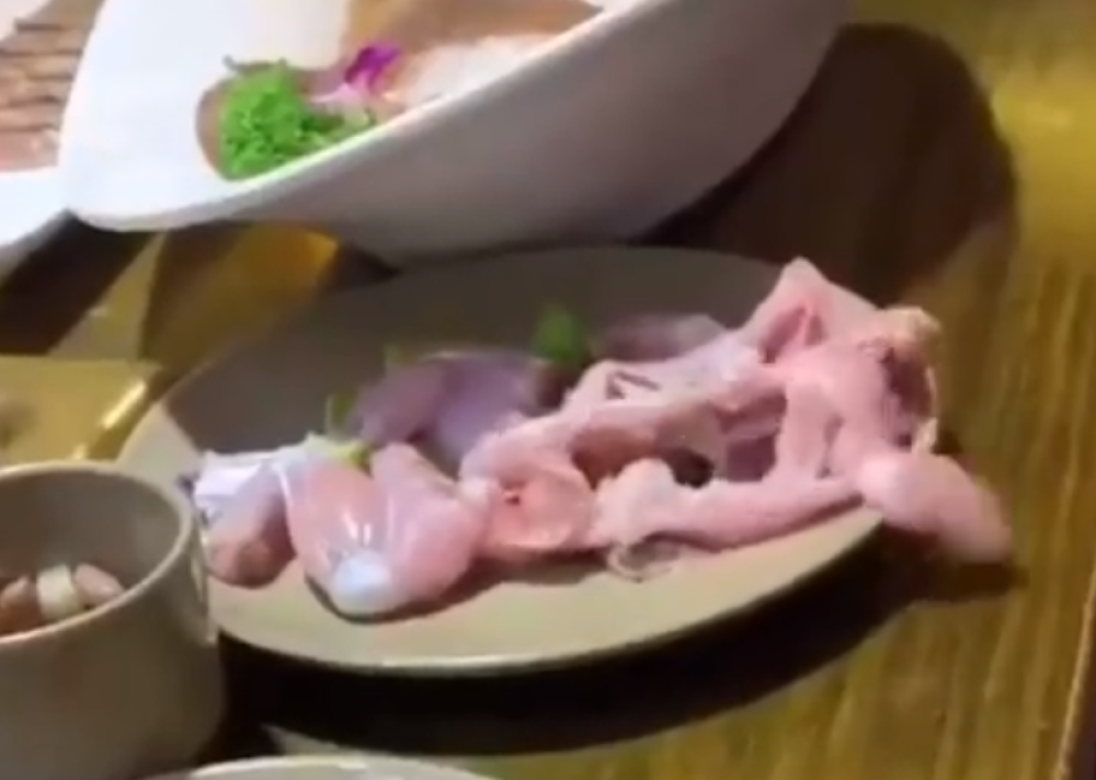 Kada pogledate ovaj snimak, MESO će vam se zauvek zgaditi! Žena u restoranu snimila JEZIVU SCENU!