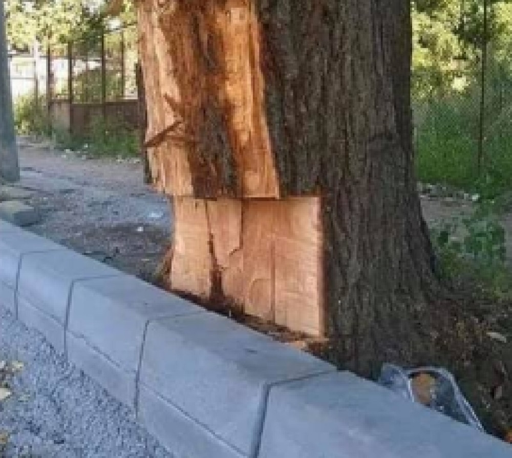 Pojavila se suluda fotografija na Tviteru! Pojedinci okrivili SNS, a onda se otkrilo ko stoji iza svega (FOTO)