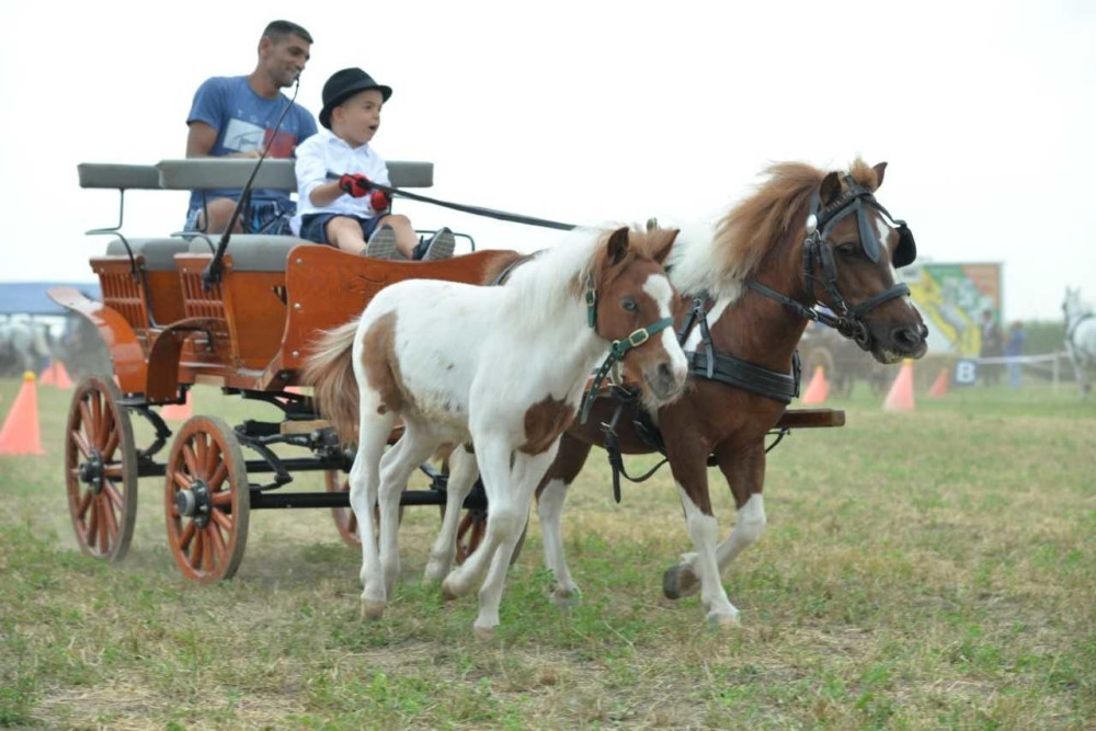 Održana tradicionalna Batajnička fijakerijada!