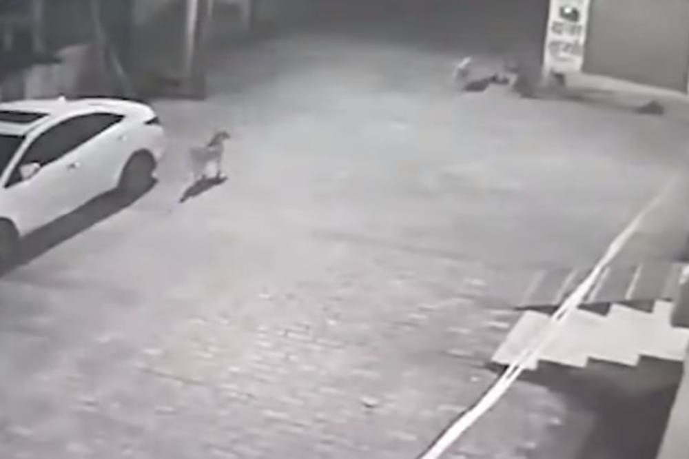 Majka je bacila smotuljak u kanalizaciju i pobegla, po mirisu su našli trag i izvukli uplakanu vreću napolje, a onda počeli da ZOVU POLICIJU!