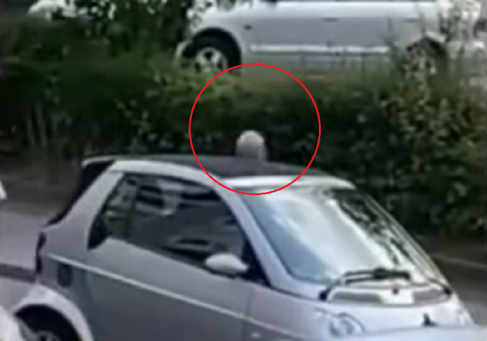 Sirijac napao mačetom čoveka! Kasapio ga naočigled svih! Ljudi vrištali i posmatrali jezivu scenu!