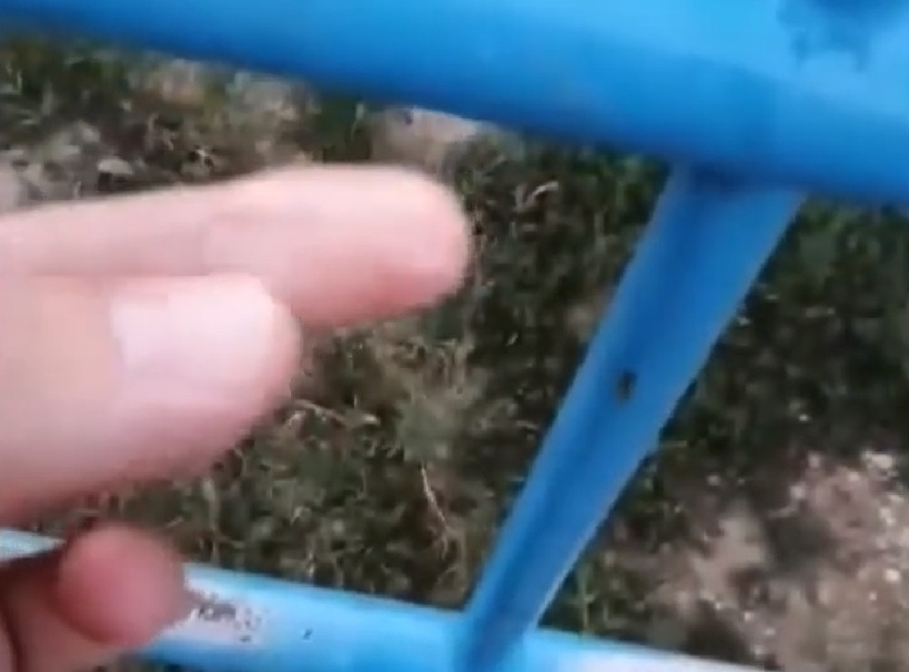 Poveo dete u parkić, ono se zgadilo! Kada je prevukao prstom po šipkama, sve mu je postalo jasno (VIDEO)