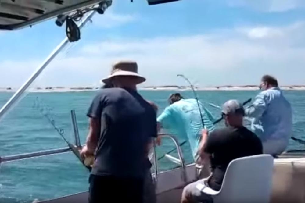 Povukao je udicu i nastao je pravi haos, počeo je da vrišti NA SAV GLAS! (VIDEO)