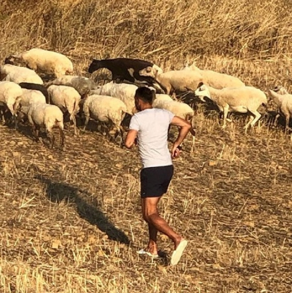 Legenda srpske košarke se vratio u selo gde vozi traktor i čuva ovce, njemu milioni nisu potrebni da ima dušu! (FOTO)