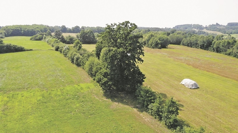 Čudotvorni HRAST kod Dragačeva promenio živote mnogih ljudi! Unosi blagostanje i sreću u njihova srca i domove! (FOTO)