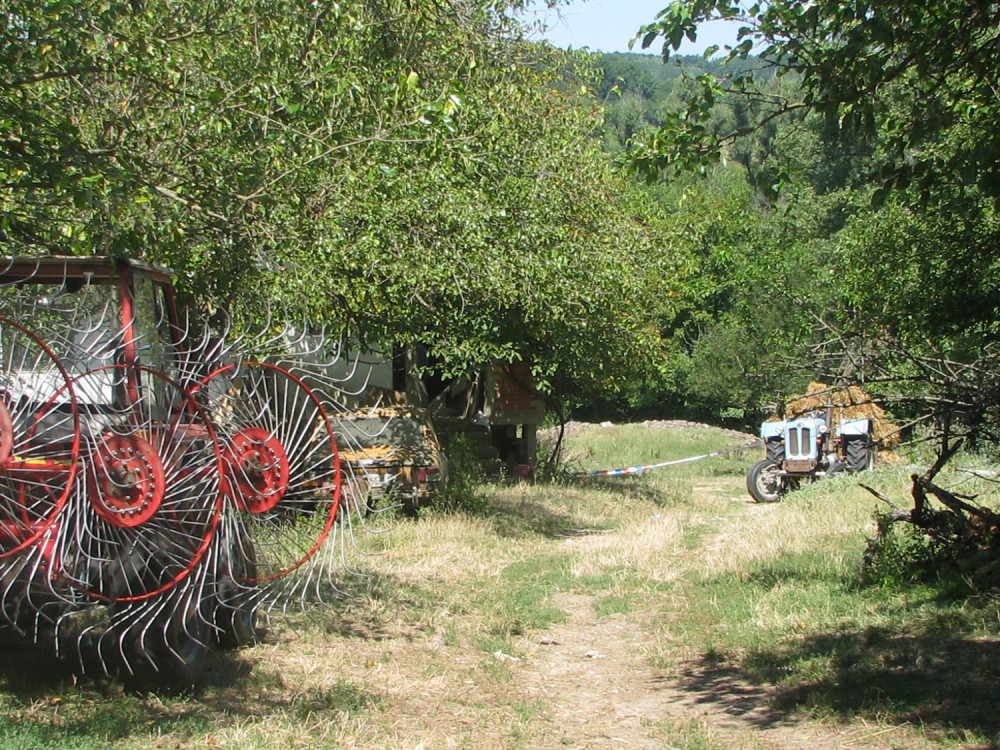 Krvava misterija u Jabukovcu krije strašnu tajnu, ubica je svakog OVERIO U GLAVU!