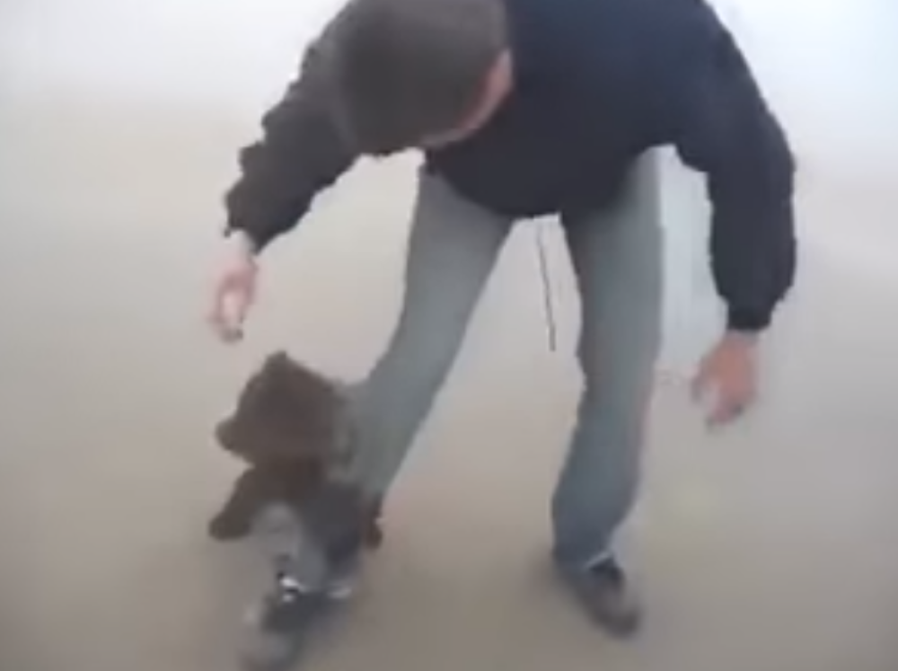 Ovaj mali meda je spasen iz požara u Rusiji! Njegova rekacija će vas POCEPATI NA KOMADE! (VIDEO)