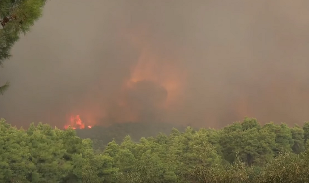 Vatra zahvatila celo ostrvo, u toku je teška borba! Sedam mašina se bori sa stihijom! (VIDEO SA LICA MESTA)