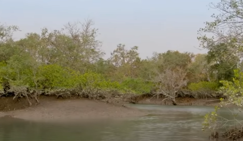 Dečak sa bratom i sestrom bio u čamcu, a onda je usledio strahovit UDARAC! Plovilo se ZALJULJALO, voda uskovitlala! On je nestao pod njom! (VIDEO)