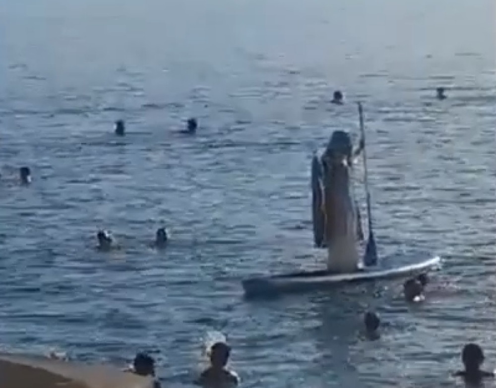 Plaža puna dece, svi gledaju sa obale! Zatečeni kupači ne mrdaju ni glavom (VIDEO)