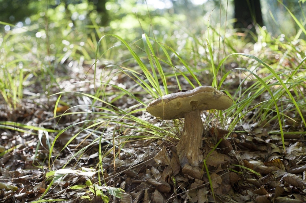 Tamo ga sačekao strašni usud! Aleksandrova žena otkrila šta joj je poslednje poručio, obistinilo se! (FOTO)