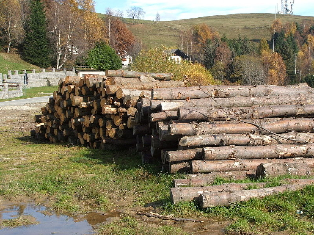 Tradicionalan srpski posao doživeo debakl, ko je ovde investirao sada je očajan