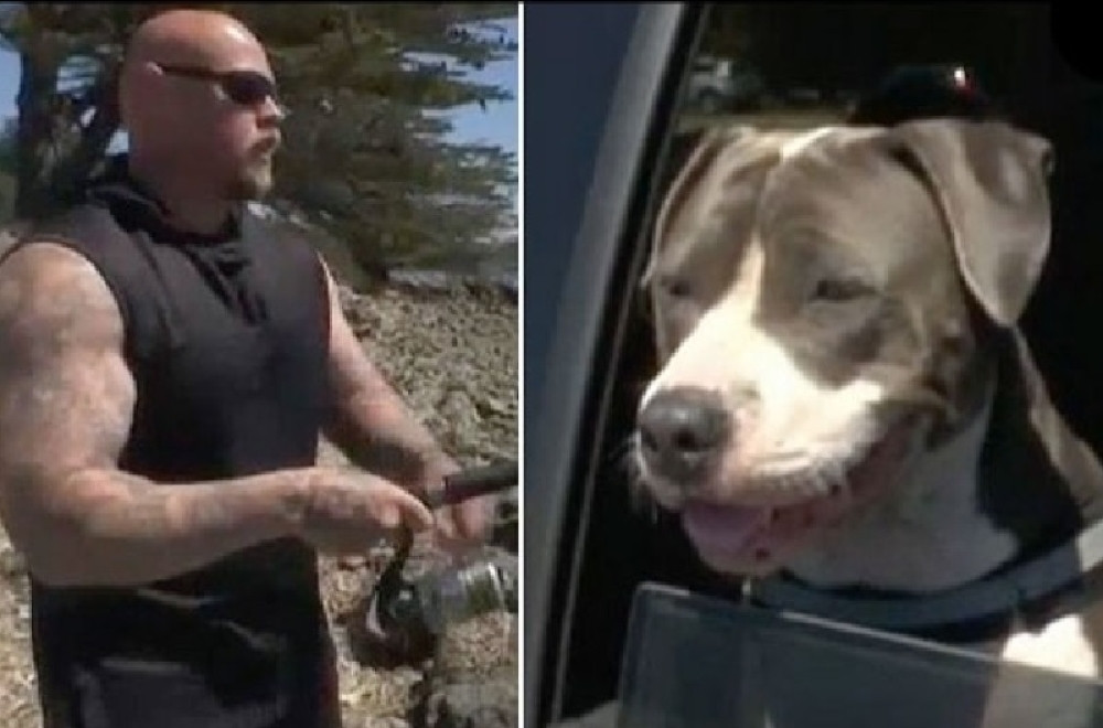 Ajkula zarila čeljusti u nogu pecaroša, povredila mu arteriju! Nisu verovali ko ga je spasio dok nije pokazao fotografiju (VIDEO)