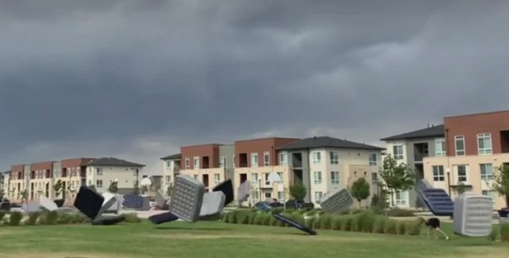 Sedeli pored bazena kada su proletela DVA DUŠEKA, a onda je krenuo STAMPEDO! (VIDEO)